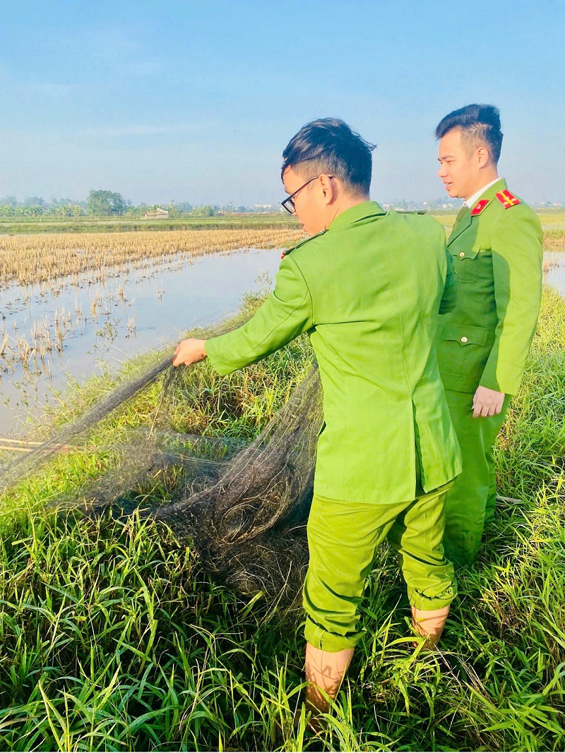 Lực lượng chức năng kiểm tra, thu giữ nhiều dụng cụ bẫy chim trời