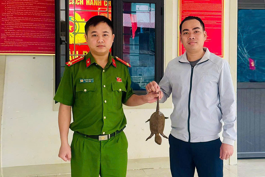 Người dân giao nộp cá thể rùa đầu to cho Công an xã Nhôn Mai