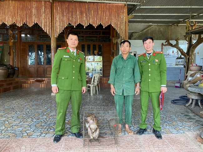 Người dân tự nguyện giao nộp hai cá thể khỉ đuôi lợn cho Tổ công tác