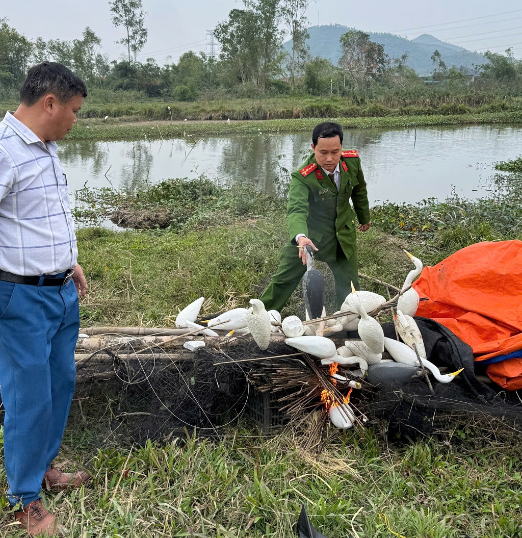 Tiêu hủy các dụng cụ, hình nộm dùng để bẫy, bắt chim hoang dã.