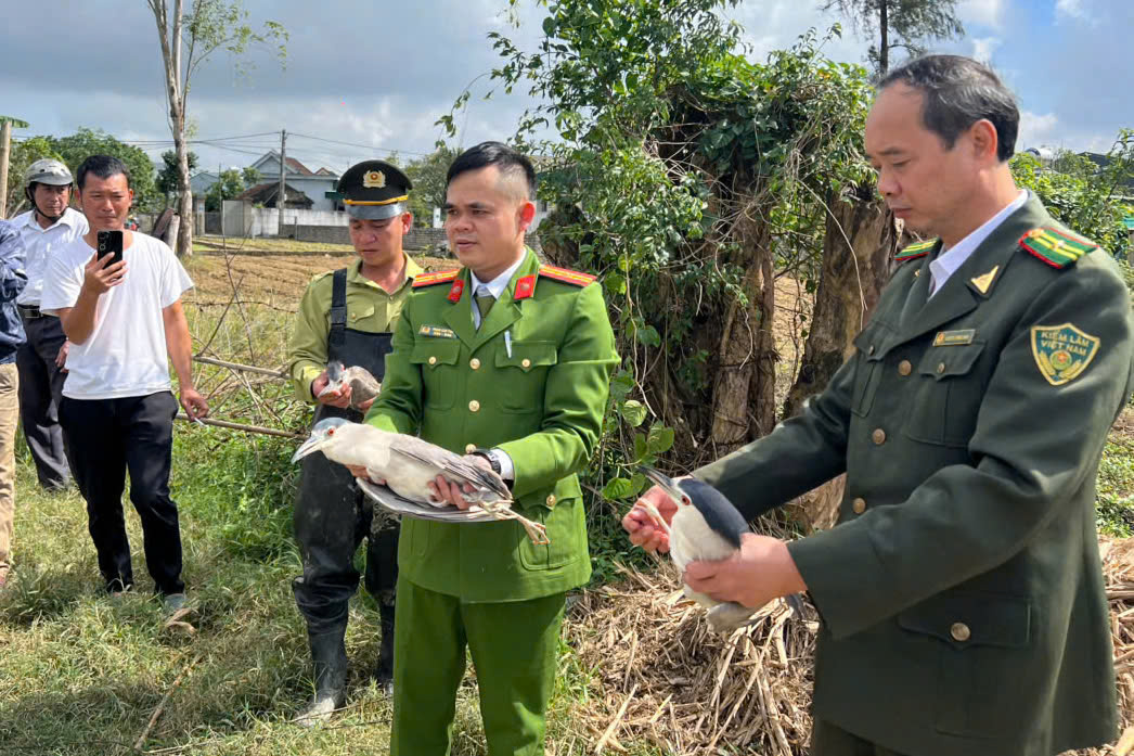 Công an phường Vinh Hưng cùng các lực lượng chức năng thả cá thể chim hoang dã về lại môi trường tự nhiên