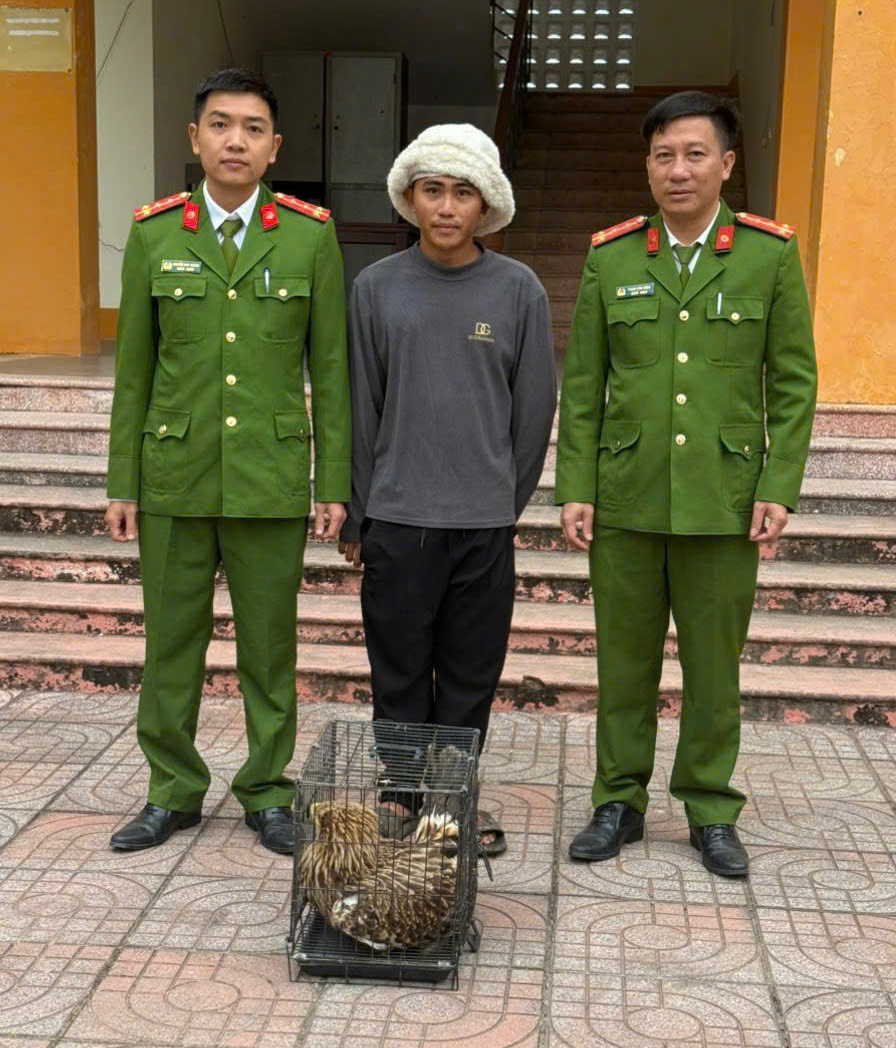 Anh Nguyễn Viết Quân tự nguyện giao nộp cá thể chim đại bàng đầu nâu