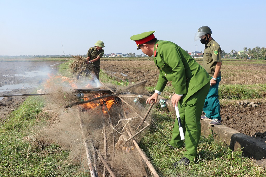 Công an xã Hải Châu gỡ và tiêu hủy lưới bẫy chim 