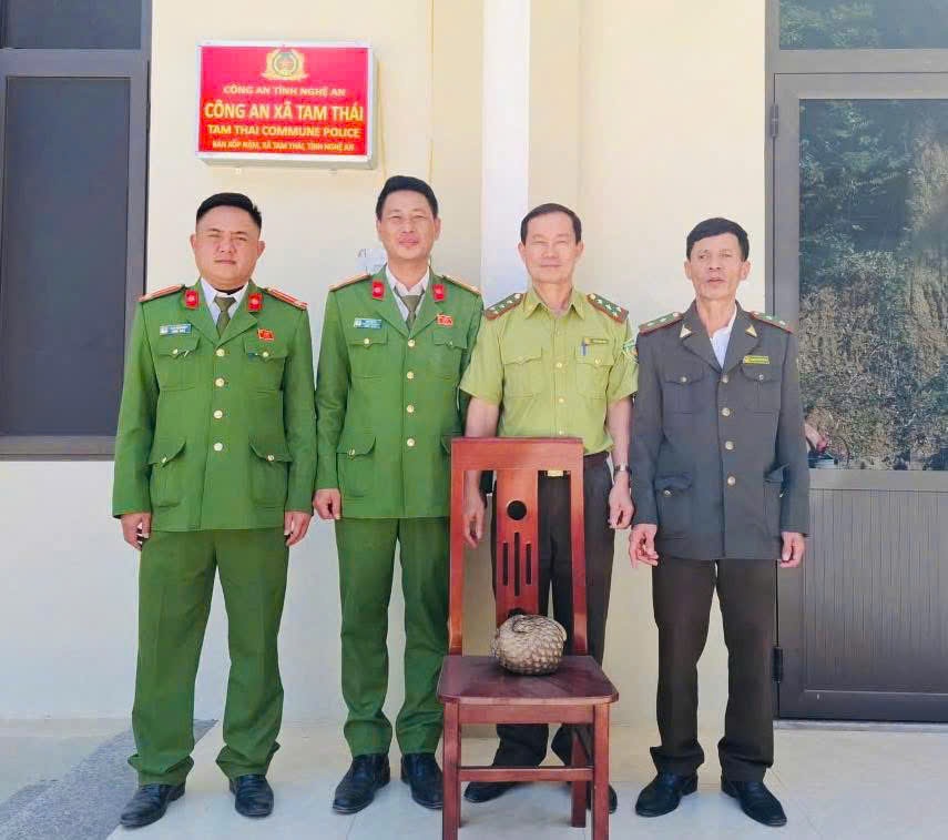 Công an xã bàn giao cá thể tê tê