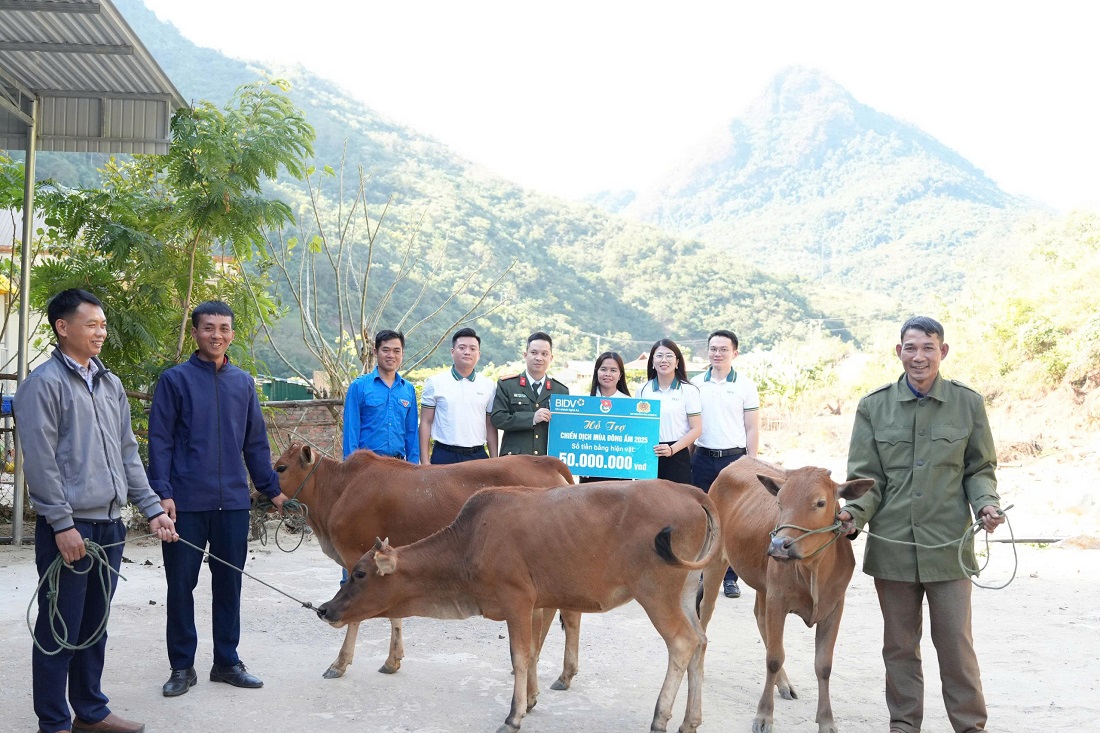Ban Thanh niên Công an tỉnh phối hợp, đoàn thanh niên xã Mường Típ và Ngân hàng BIDV Nghệ An trao bò cho các hộ gia đình