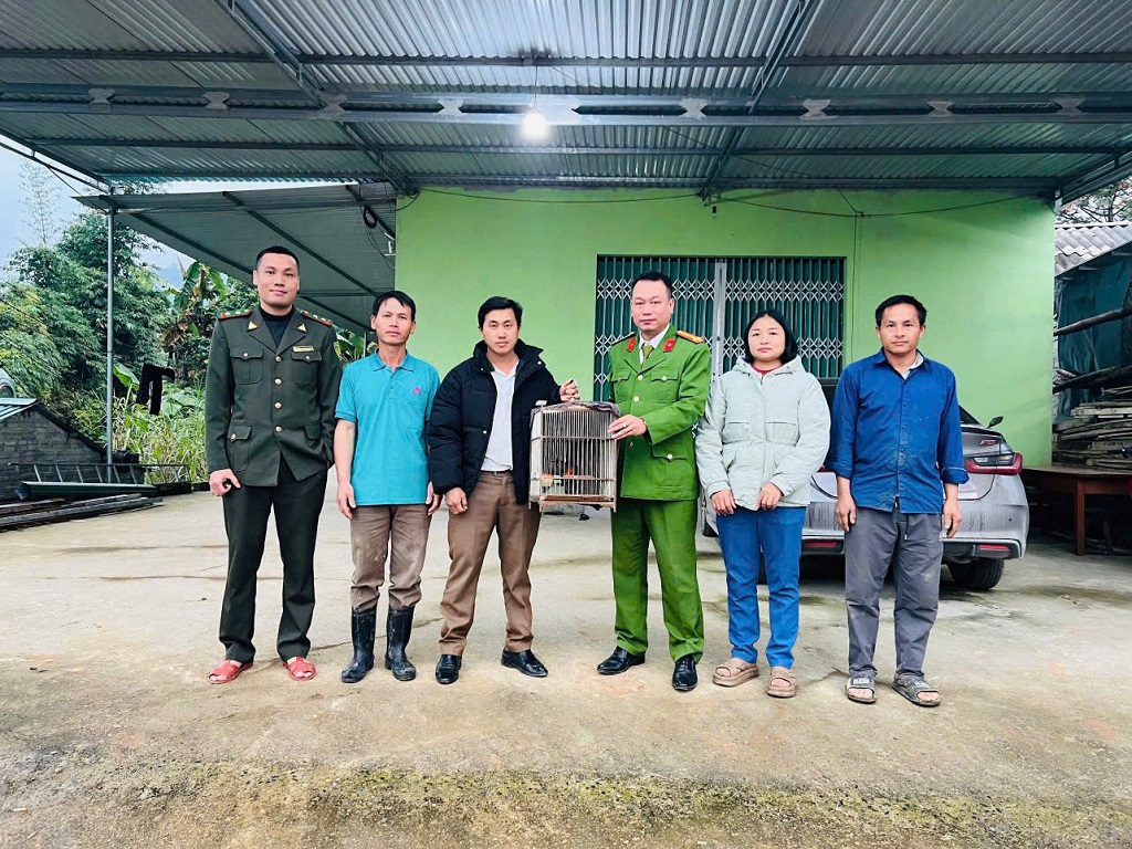 Công an xã bàn giao 02 cá thể chim cho Vườn quốc gia Pù Mát