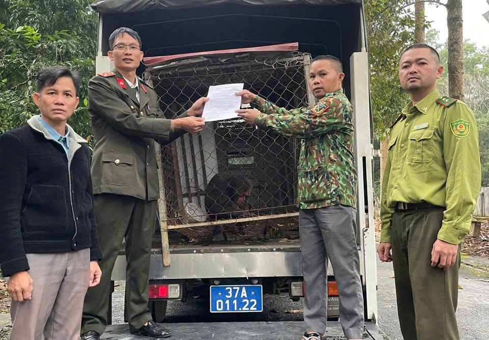 Công an xã Quỳ Châu tiếp nhận cá thể khỉ ngày 16/12/2025