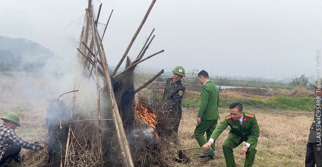 Công an xã Trung Lộc thu giữ, tiêu hủy nhiều dụng cụ săn bắt chim trời