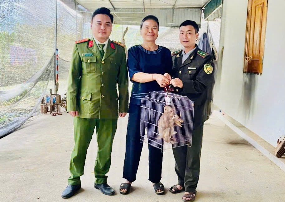 Anh Lữ Văn Hòa giao nộp cá thể khỉ đuôi lợn cho cơ quan chức năng