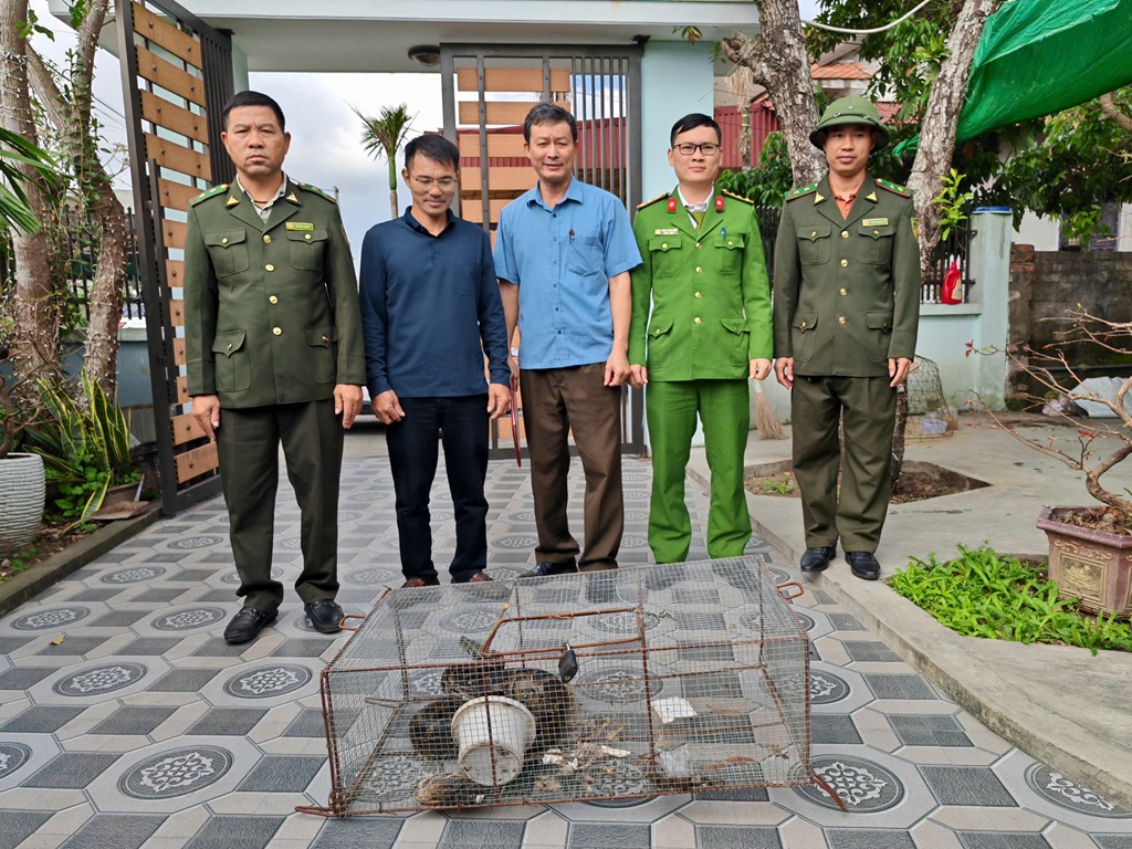 Công an xã cùng chính quyền địa phương và Hạt kiểm lâm Nghi Lộc tiếp nhận cá thể trăn gấm tại nhà anh Tuấn
