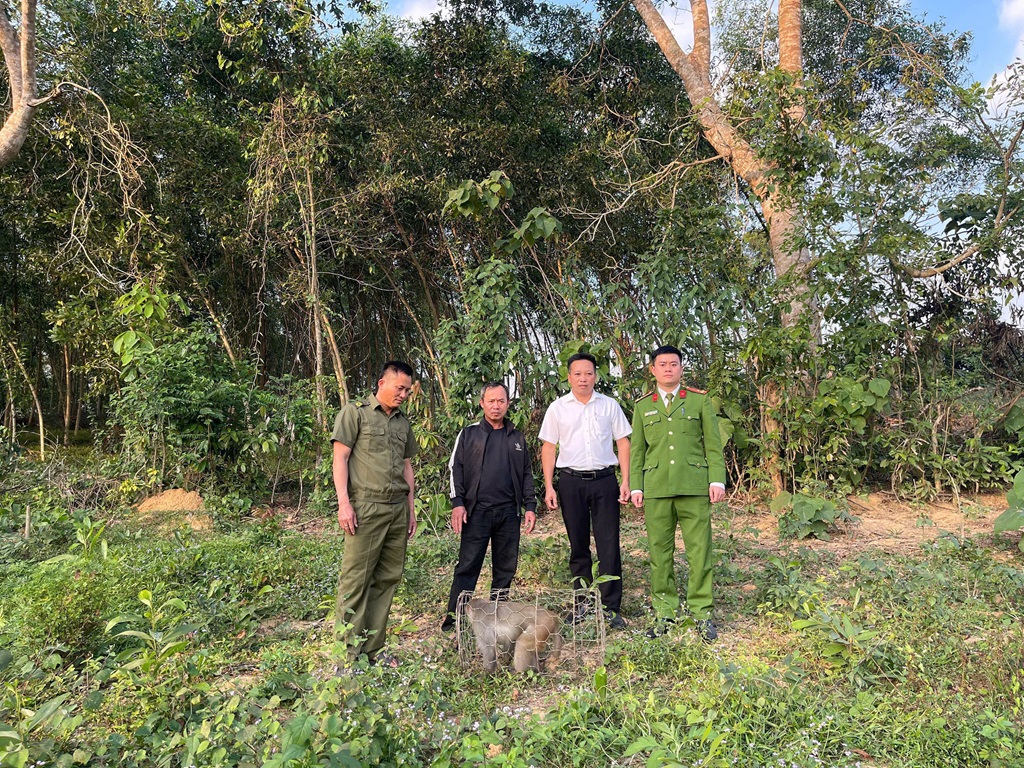 Công an xã Tân An tuyên truyền, vận động người dân tự nguyện giao nộp động vật hoang dã