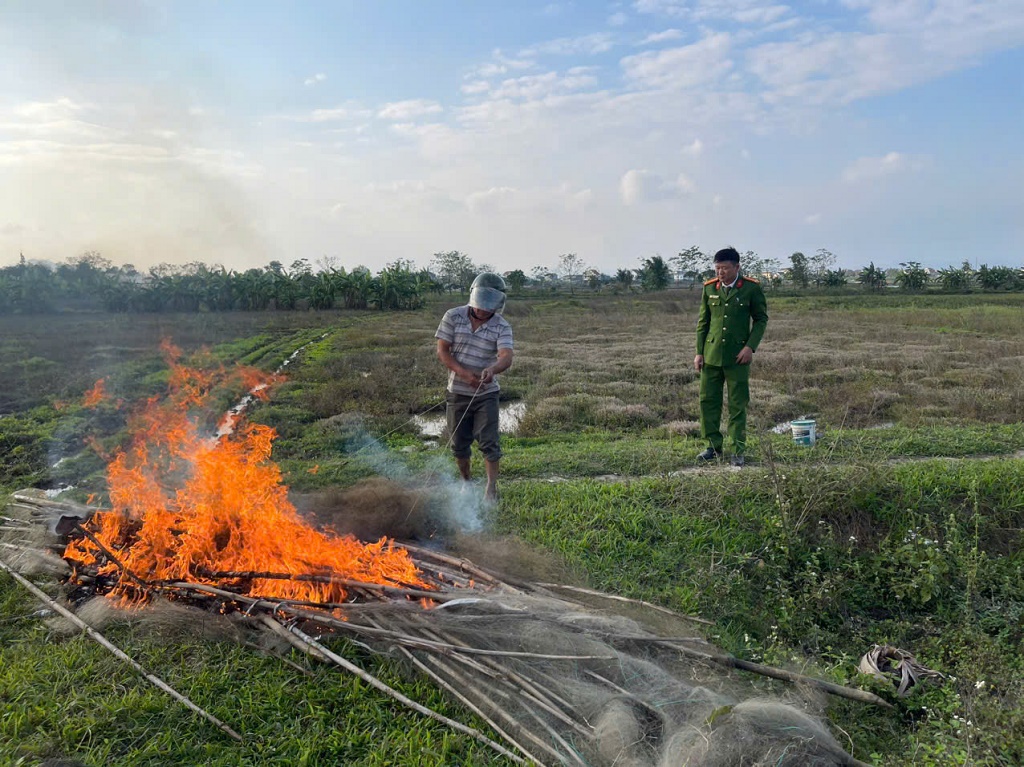 Tăng cường biện pháp bảo vệ chim trời
