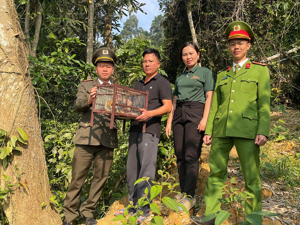 Công an xã Hạnh Lâm phối hợp tiếp nhận cá thể culi do người dân tự nguyện giao nộp