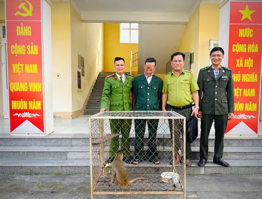 Công an xã Bích Hào và Hạt Kiểm lâm Thanh Chương tiếp nhận 01 cá thể khỉ và 01 khẩu súng quân dụng do công dân P.D.T. tự nguyện giao nộp