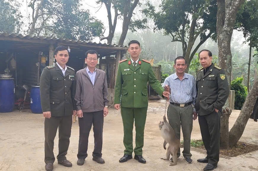 Người dân giao nộp khỉ vàng cho lực lượng chức năng