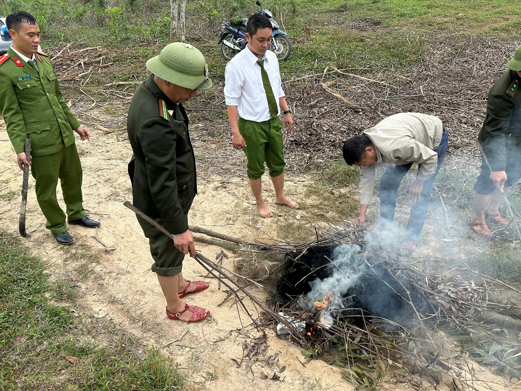Lực lượng chức năng kiểm tra, thu giữ nhiều dụng cụ bẫy chim trời