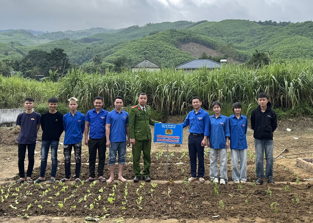 Công an xã với mô hình “Vườn rau Thanh niên” đem lại nhiều hiệu quả thiết thực
