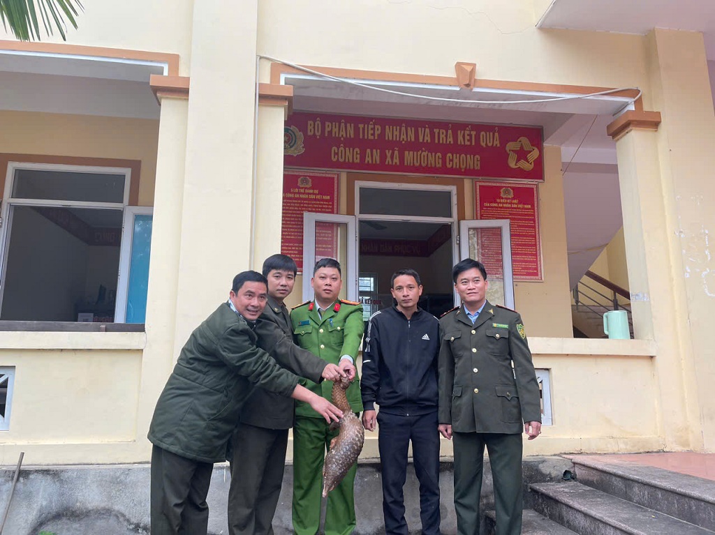 Công an xã tiếp nhận bàn giao cá thể tê tê
