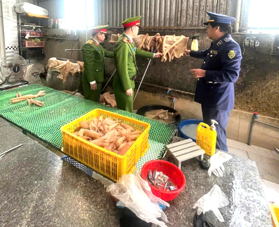 Qua kiểm tra, cơ quan chức năng phát hiện 01 tấn da lợn không rõ nguồn gốc xuất xứ