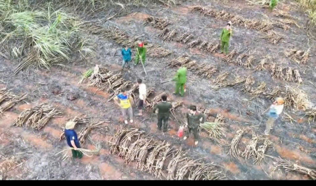 Công an xã Nghĩa Hưng giúp người dân dập tắt đám cháy tại vườn mía