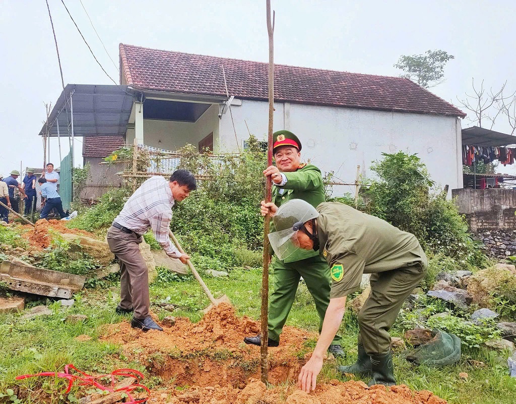 Hưởng ứng Tết trồng cây