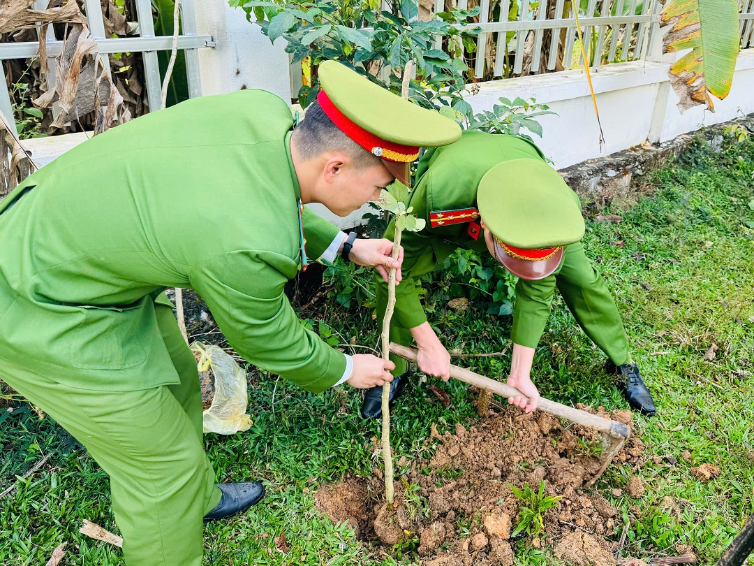 Cây xanh được trồng trong khuôn viên Nhà văn hóa xã và khu vực công cộng