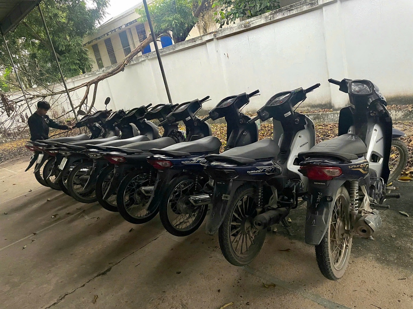 Tang vật chuyên án thu giữ