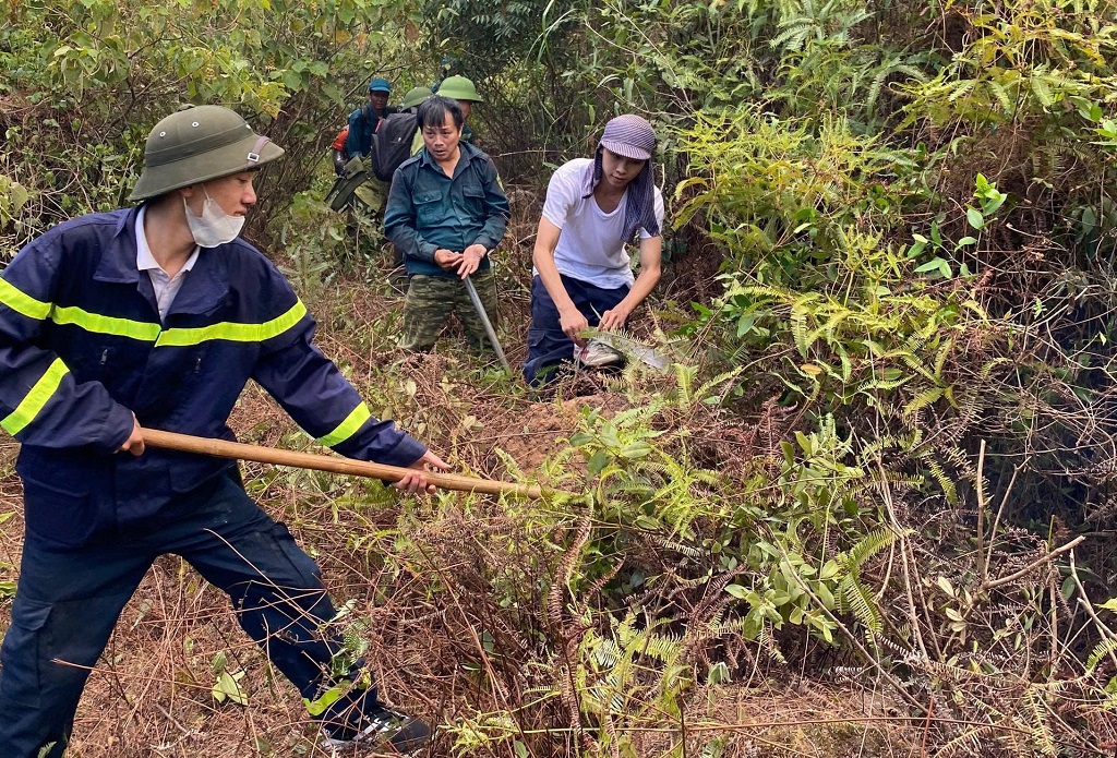Nắng nóng kéo dài: Cảnh báo nguy cơ cháy rừng