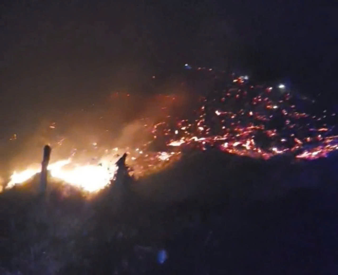 Cảnh báo nguy cơ cháy rừng trên địa bàn tỉnh