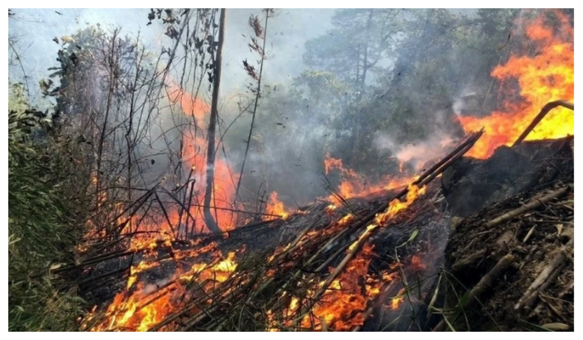 Cảnh báo nguy cơ cháy rừng trên địa bàn tỉnh cấp nguy hiểm, cực kỳ nguy hiểm từ ngày 13/4 đến ngày 19/4/2026