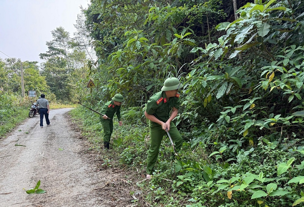Dọn dẹp, phát quang, san lấp và mở rộng tuyến đường 543D