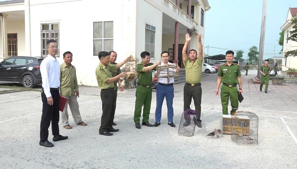 Lực lượng chức năng thả cá thể chim về môi trường tự nhiên