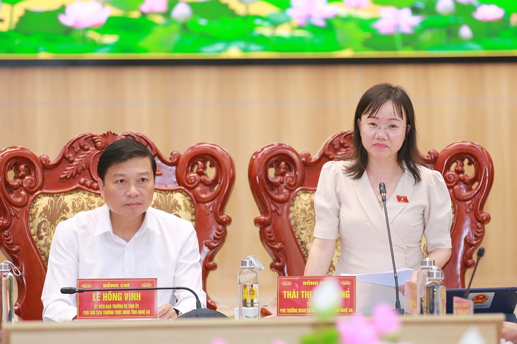  Đồng chí Thái Thị An Chung, Ủy viên Ban Chấp hành Đảng bộ tỉnh, Phó Trưởng Đoàn ĐBQH tỉnh phát biểu