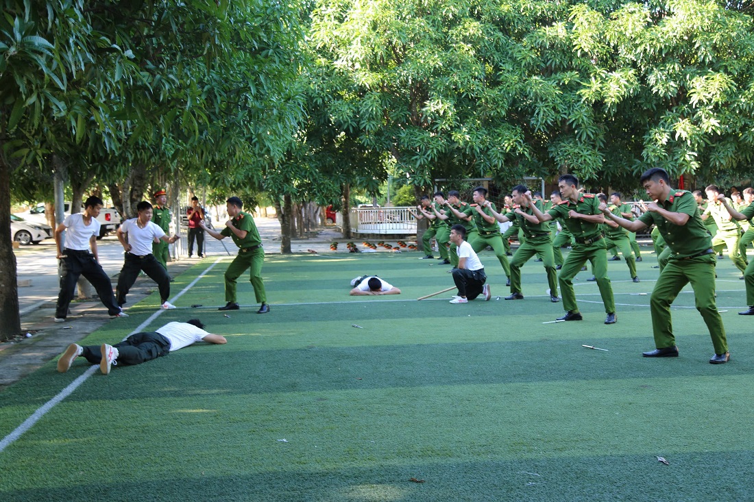 Phần thi chiến thuật, đồng diễn và bài quyền 44 động tác