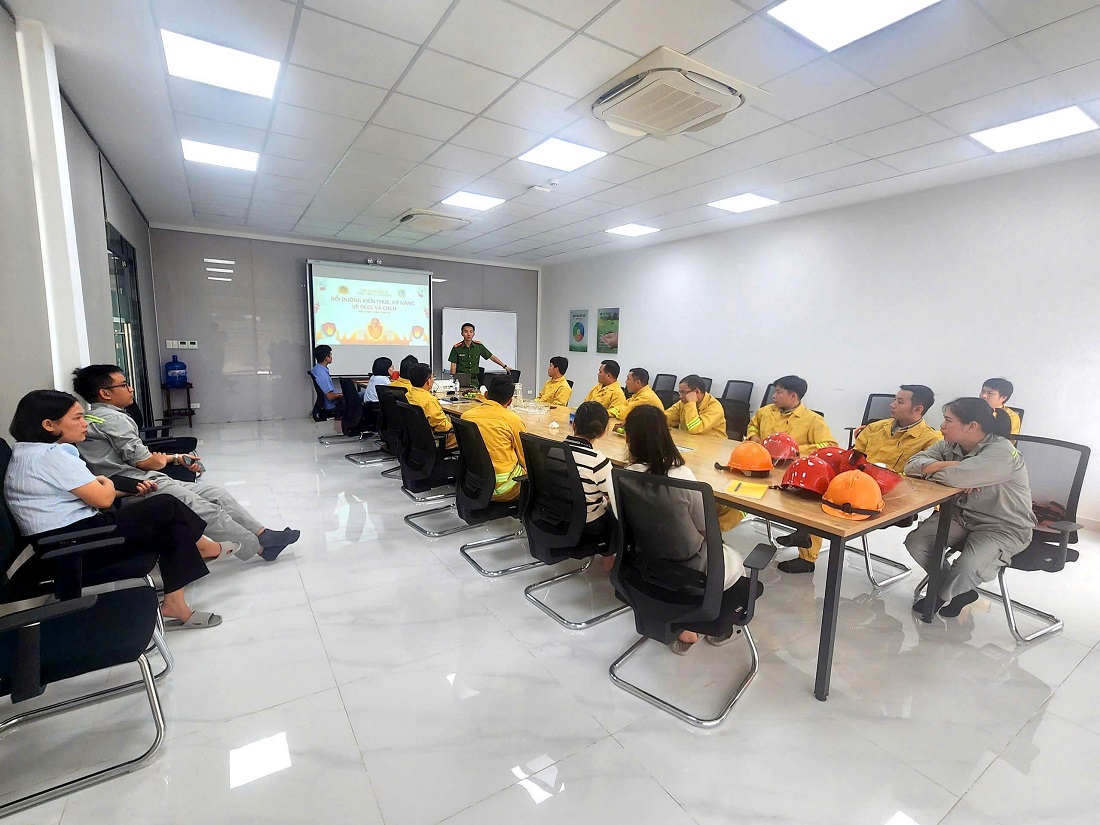 Việc xây dựng các mô hình 