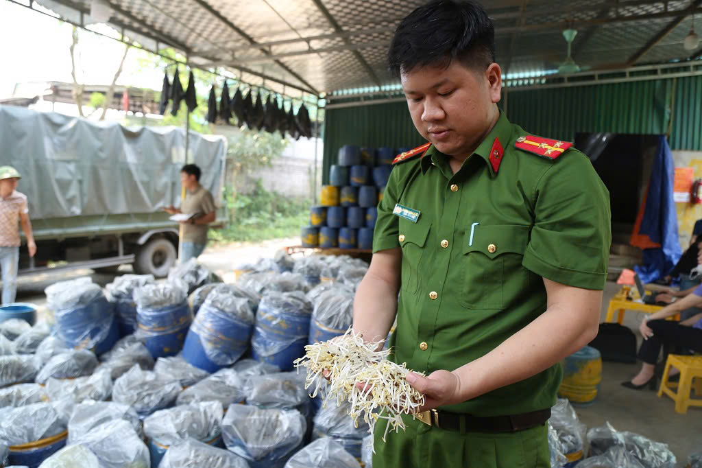 Lực lượng Cảnh sát kinh tế, Công an tỉnh Nghệ An kiểm tra cơ sở sản xuất giá đỗ ngâm hóa chất