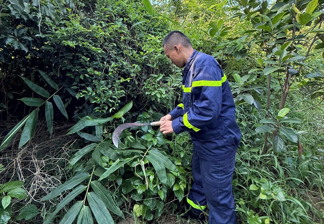 Hoạt động tình nguyện thiết thực, ý nghĩa tri ân gia đình chính sách