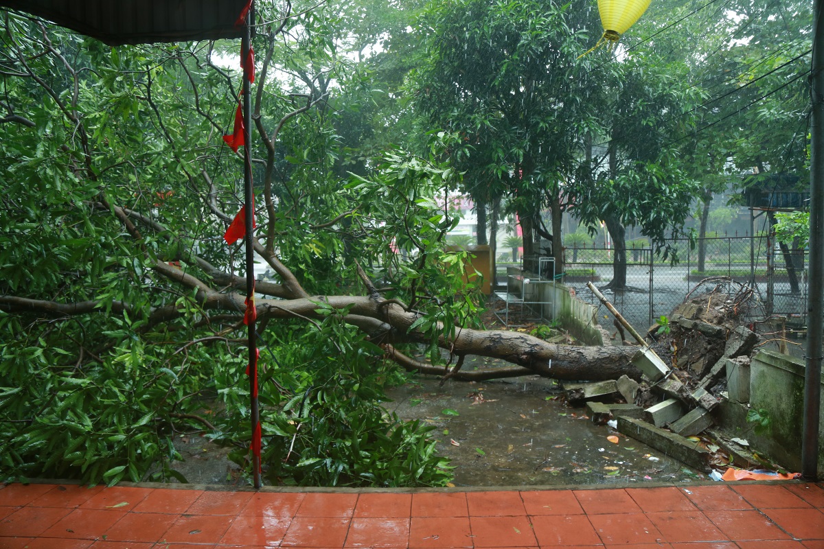 Khu chung cư Quang Trung, phường Thành Vinh tiềm ẩn nhiều nguy cơ mất an toàn khi bão đổ bộ