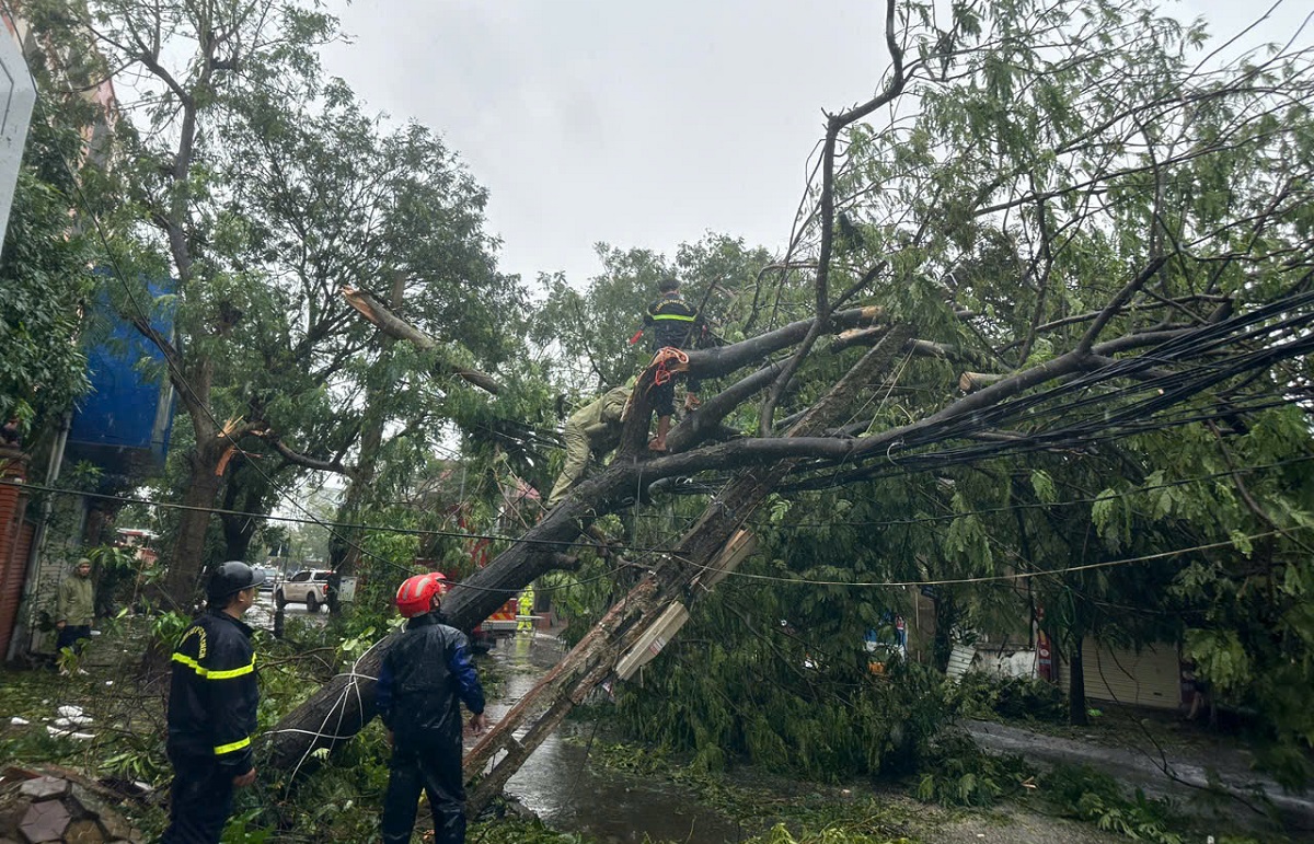 Nhiều cây xanh bị gãy đổ