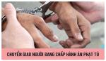 Nội dung cơ bản của Dự thảo Luật Chuyển giao người đang chấp hành án phạt tù