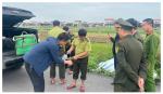 Tăng cường tuyên truyền, kiểm tra, xử lý hành vi đánh bắt chim di cư
