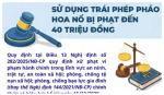 Từ ngày 15/12/2025, người dân sử dụng pháo trái quy định có thể bị phạt đến 40 triệu đồng