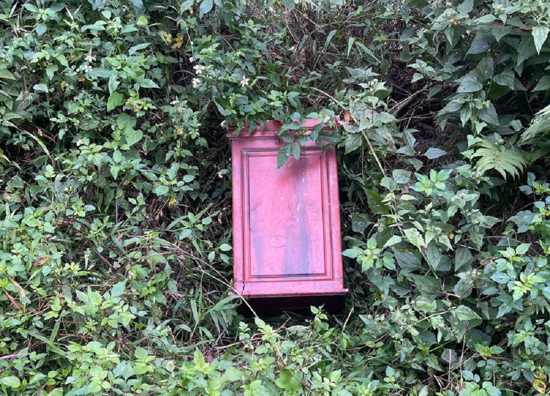 Tang vật thu giữ