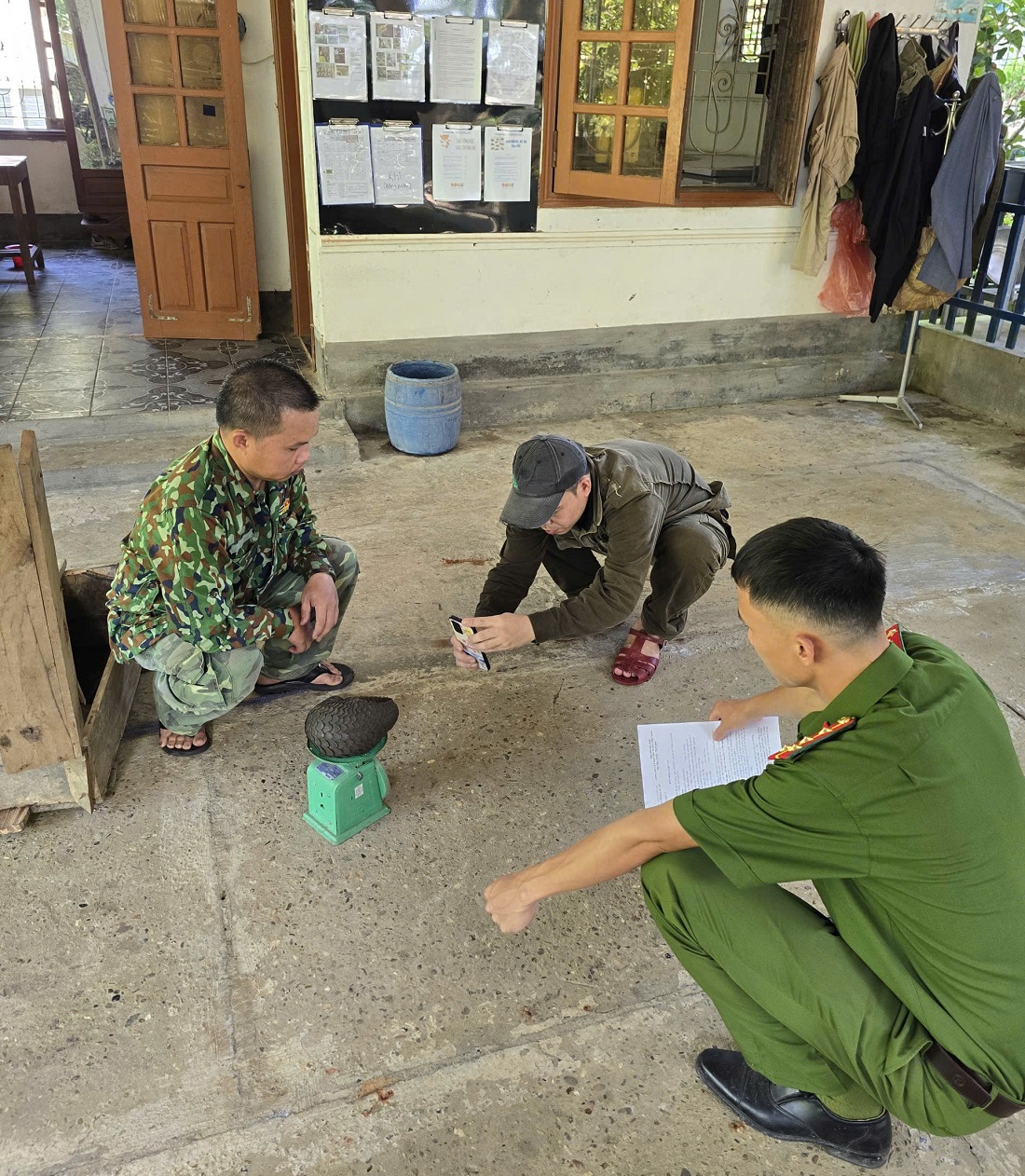 Lực lượng chức năng hoàn tất thủ tục thả cá thể tê tê về môi trường tự nhiên