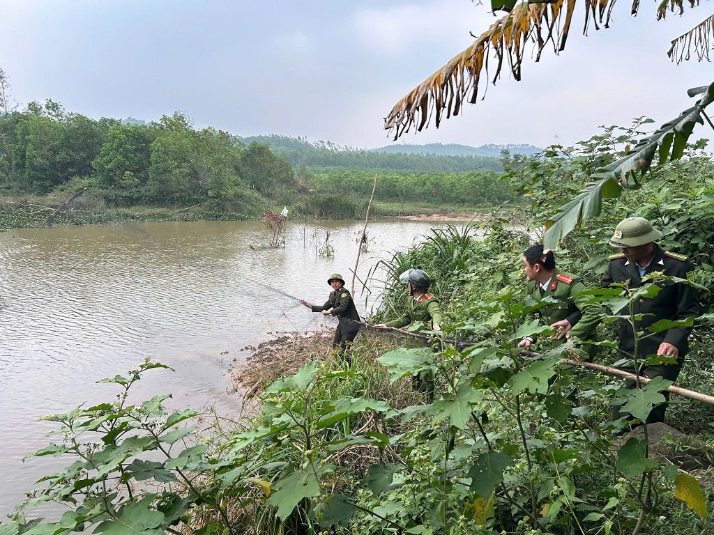 Xử lý hành vi săn bắt, bẫy bắt chim trời và động vật hoang dã