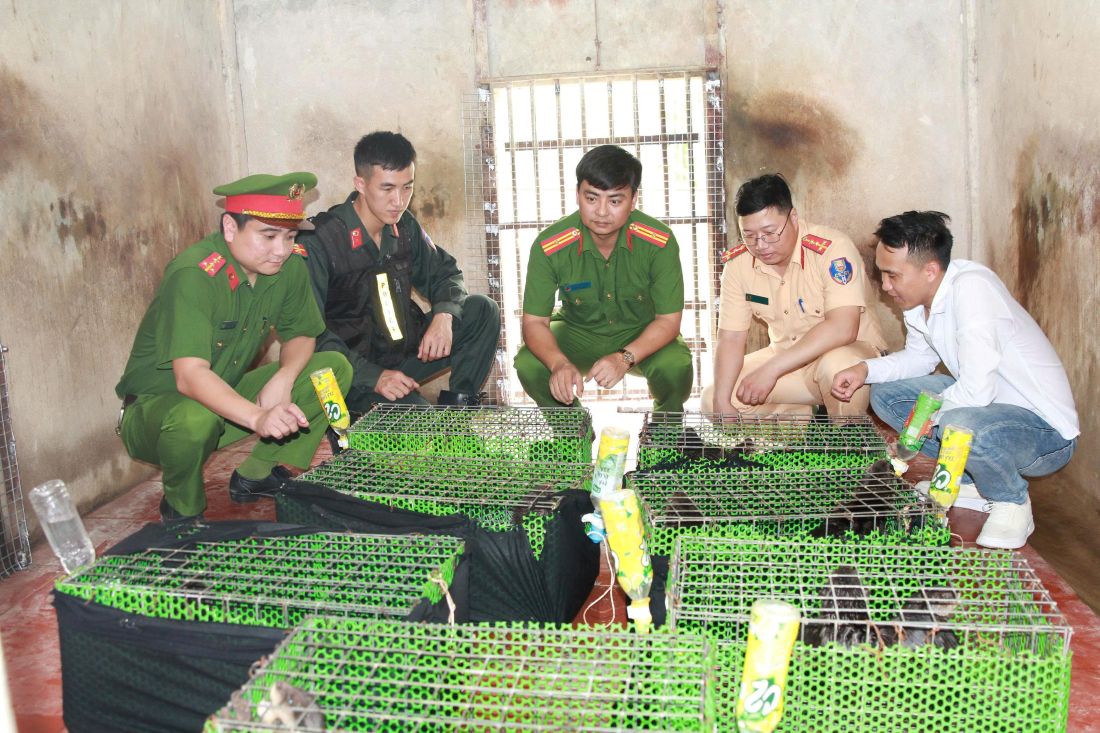 Triệt xóa đường dây mua bán, vận chuyển động vật nguy cấp, quý hiếm