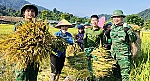 Công an xã Môn Sơn hỗ trợ hộ nghèo thu hoạch lúa