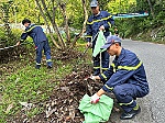 Tổng dọn vệ sinh, thu gom thực bì tại lâm viên Núi Dũng Quyết