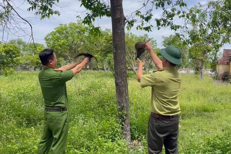 Công an xã Trung Lộc xử lý hành vi săn bắt, bẫy bắt động vật hoang dã