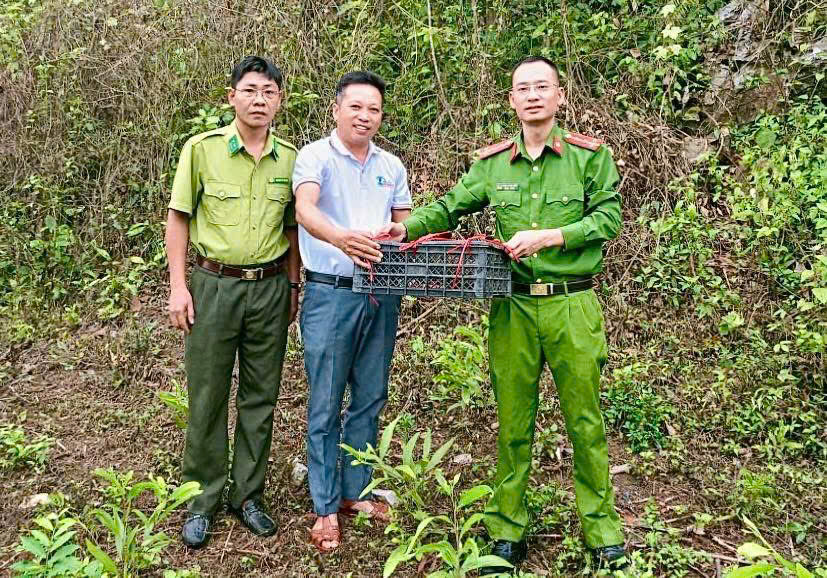 Công an xã Tân An phối với lực lượng chức năng thả 01 cá thể động vật hoang dã về rừng